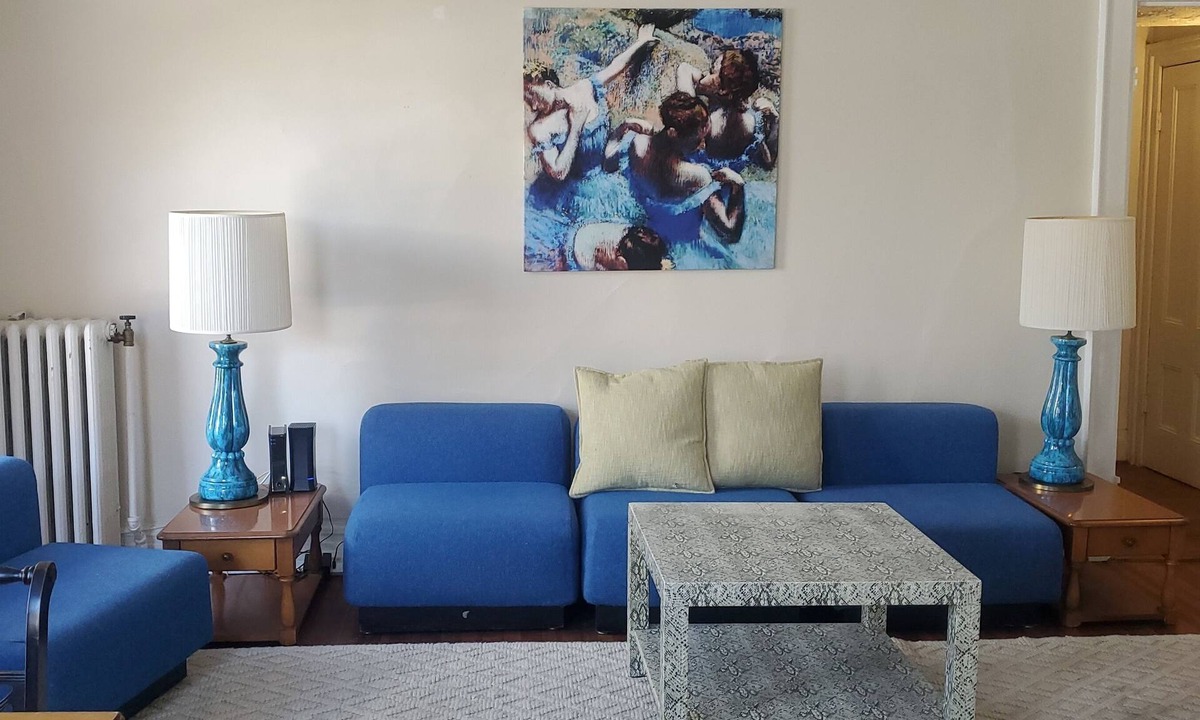 Downtown Buffalo Apartment | Beatiful & spacious Elmwood Village duplex! Over 1500 square foot of space!