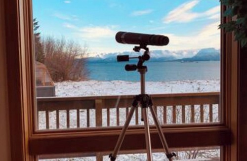 Homer House | Bay Bluff Haven: Ocean, Glacier, & Wildlife View