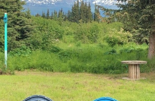 Fritz Creek House | Charming Cabin Surrounded by Alaskan Adventures