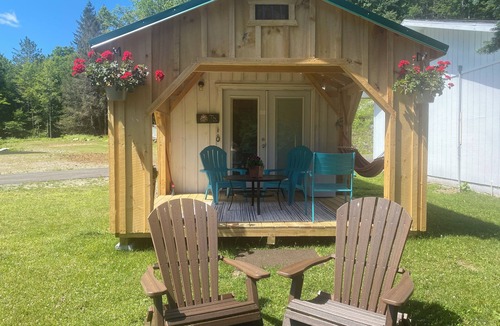 Meredith Cabin | Cozy “bed in a shed” cabin with WiFi and AC in charming East Meredith