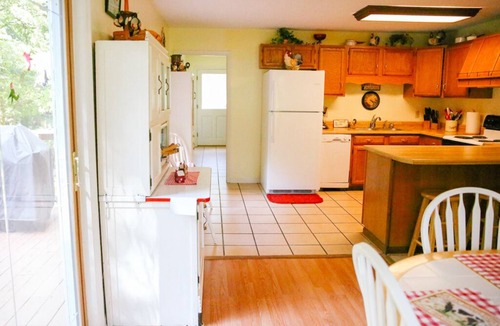 Sevierville House | FARM ANIMALS: RESCUES, Mini HORSES and mini DONKEYs;
