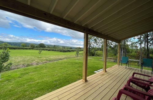 Town of Jerusalem Cottage | Firefly Cottage nestled in a vineyard 1 mile to Keuka Lake