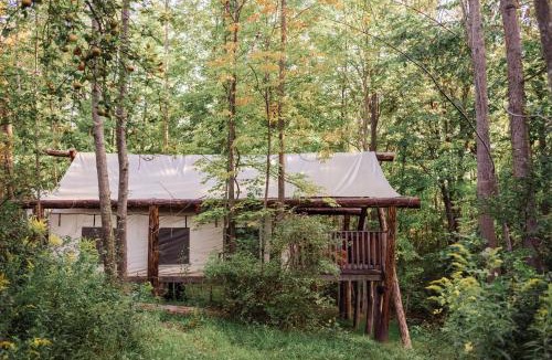 South Hill Other | Firelight Camps