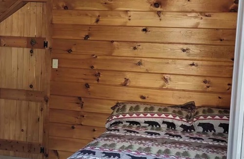Olmstedville Cabin | Spacious and Charming 5 bedroom cabin, 2 miles to Minerva Lake