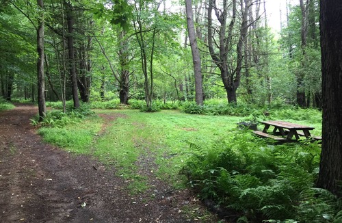 Unadilla RV Rental | The Pines Hill Top. Bring your own tent.