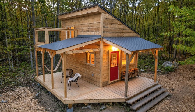 Addys cabin in the trees