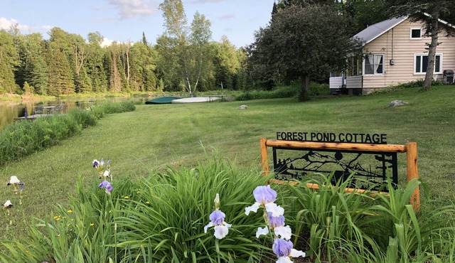 Adirondack Cottage - Four Season, Pet-Friendly, Cozy & Beautiful. Read reviews!