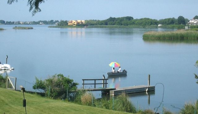 Charming 4 BR +2 waterfront-pool, privacy, views, gazebo, boats, near beaches
