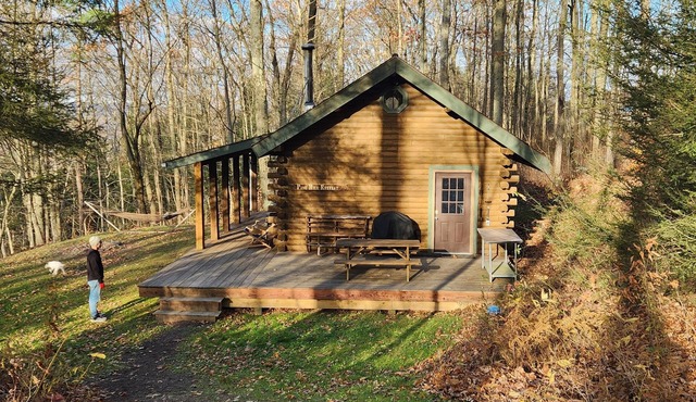 Charming cabin on 30 acres in the Bristol Hills of New York's Finger Lakes area,
