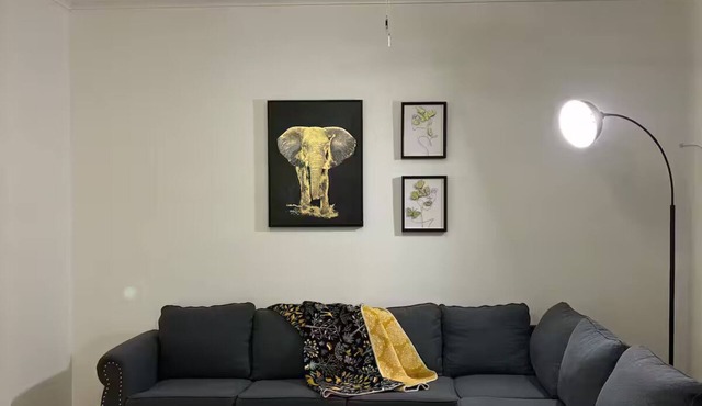 Comfy 3Bdrm near LSD,Obama Center, UIC, Sci Museum
