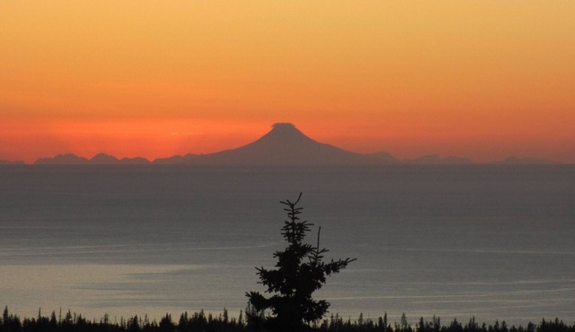 Custom Built Home W/Amazing Views Of Kachemak Bay
