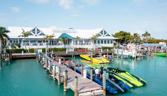 Island Junior Suite w/Dolphin Encounters & Pools
