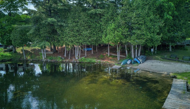 Lakeside Charm: Cozy 2-Bed Retreat with Forest Views