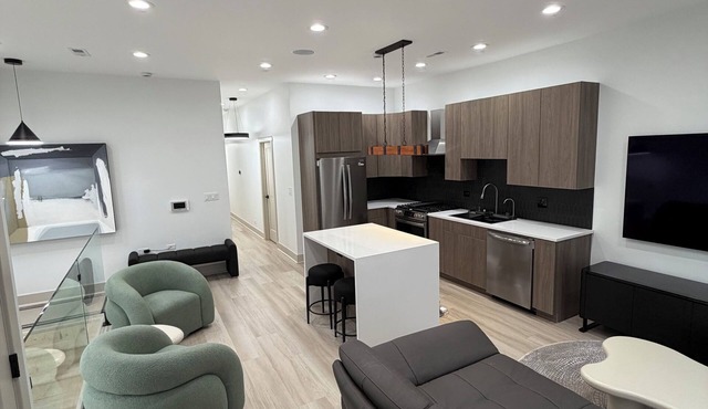 Luxury Living in Bronzeville with Oversized Rooftop.