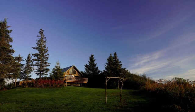 Ocean-view Cabins on the Anchor Point Bluff