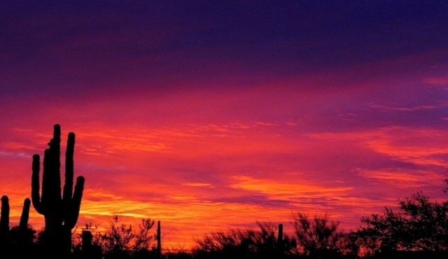 Peace & Tranquility In Our Southwest Studio Desert Home