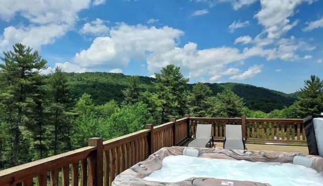 Pine Ridge Manor A+ Privacy Pool BBQ Games