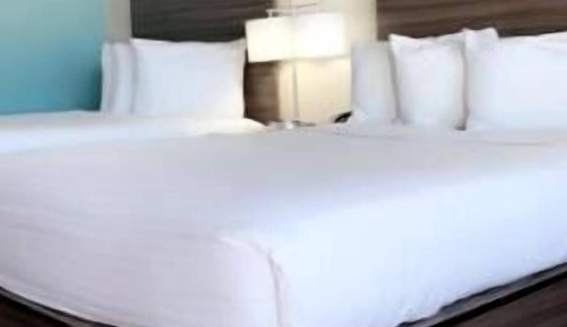 Relax and Recharge! 3 Serene Units, Free Breakfast & Parking