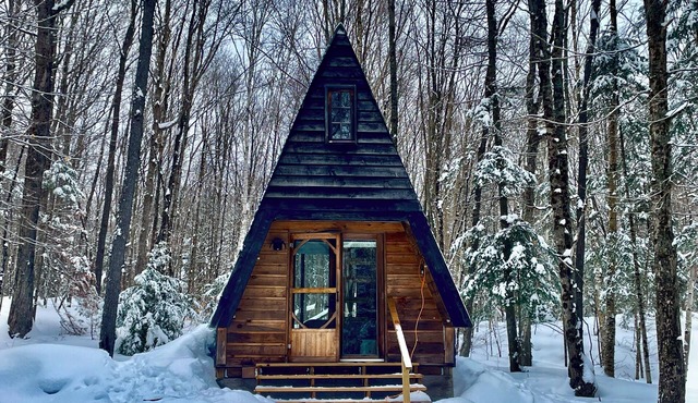 Secluded A Frame Cabin, On 27 Acres by the Lake