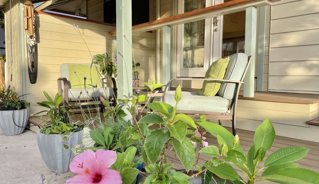 Studio. Beach Front property. Free parking