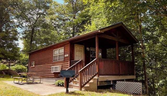 The Perch- Cliffside cabin overlooking Black Lake