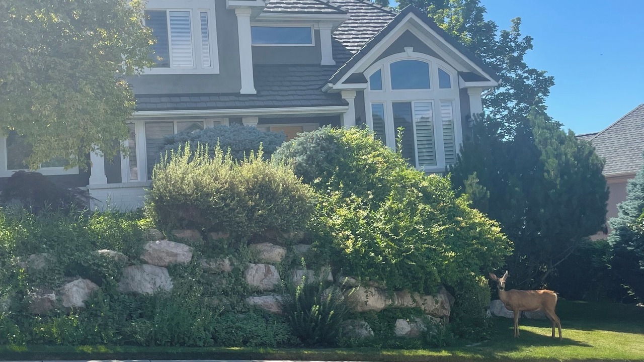 Photo of Others in North Salt Lake