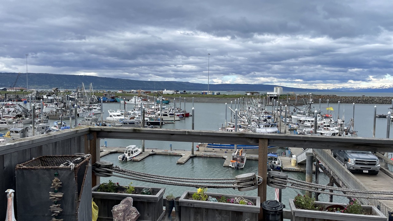 Photo of Others in Homer