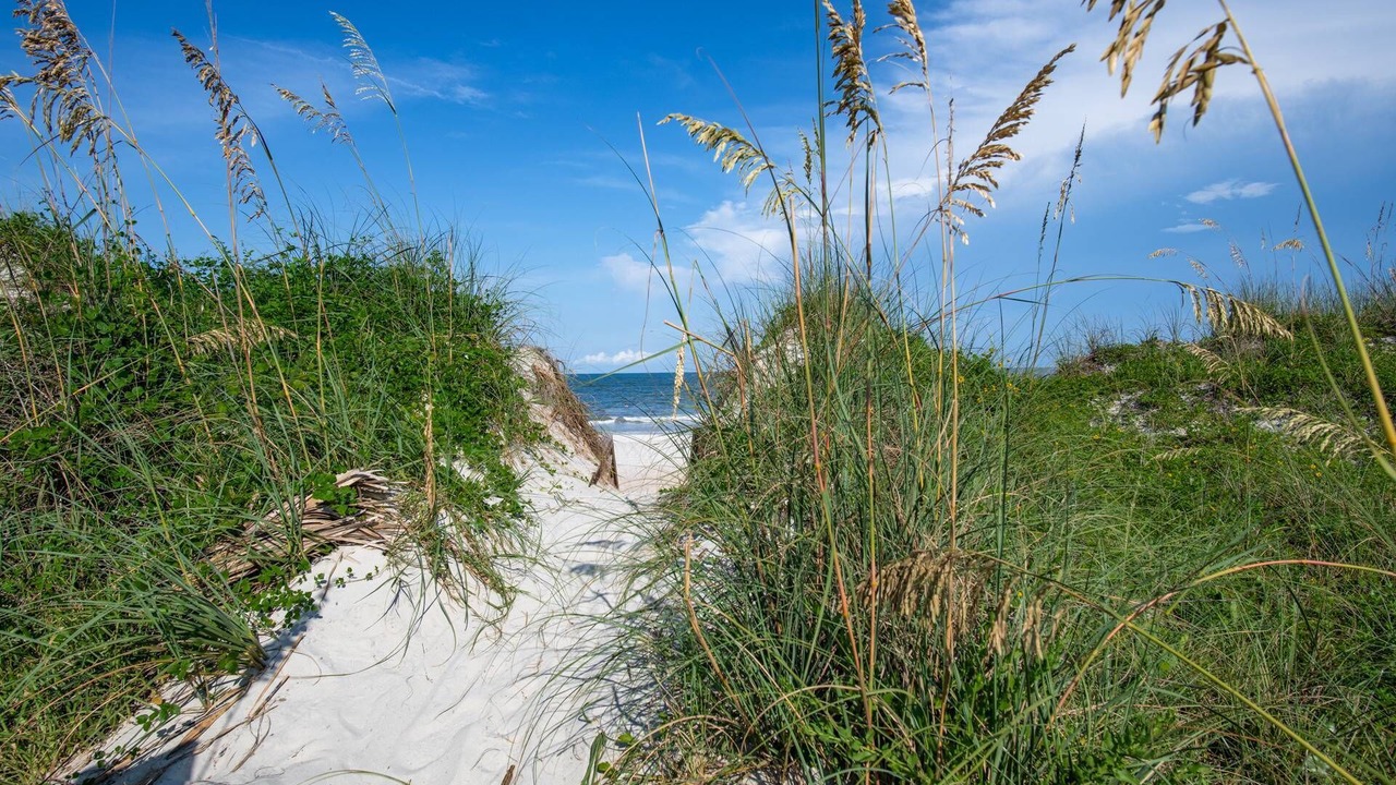 Photo of Others in St. Augustine Beach
