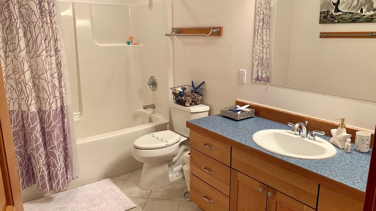 Photo of Bathroom in Homer