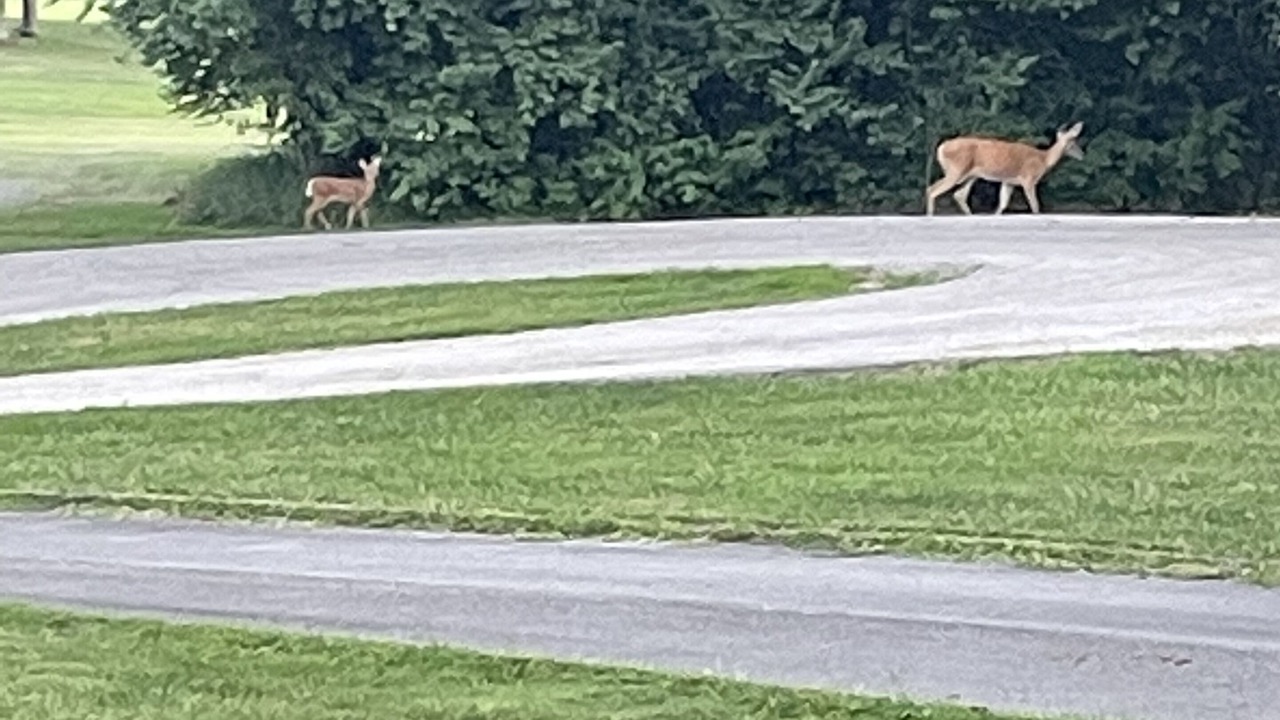 Photo of Others in Maysville