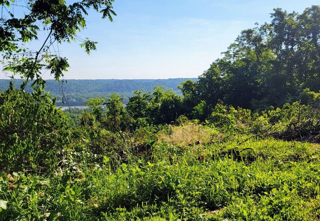 Photo of Outdoor in Foster