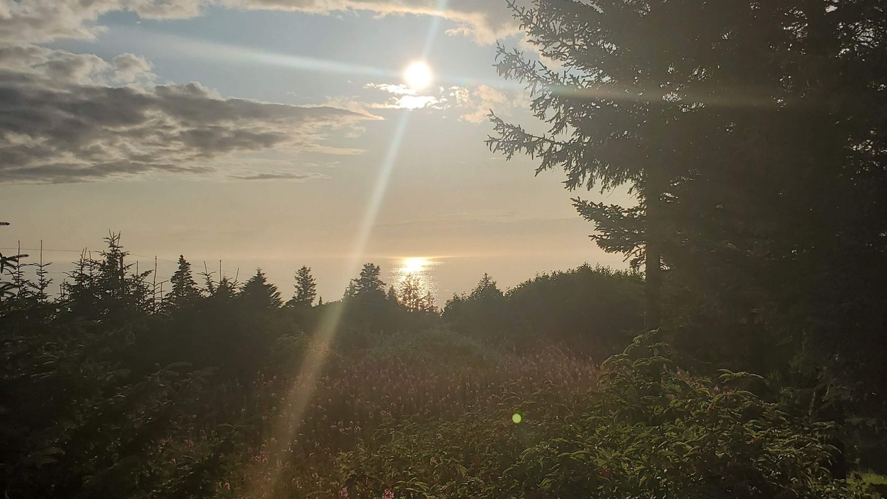 Photo of Outdoor in Diamond Ridge