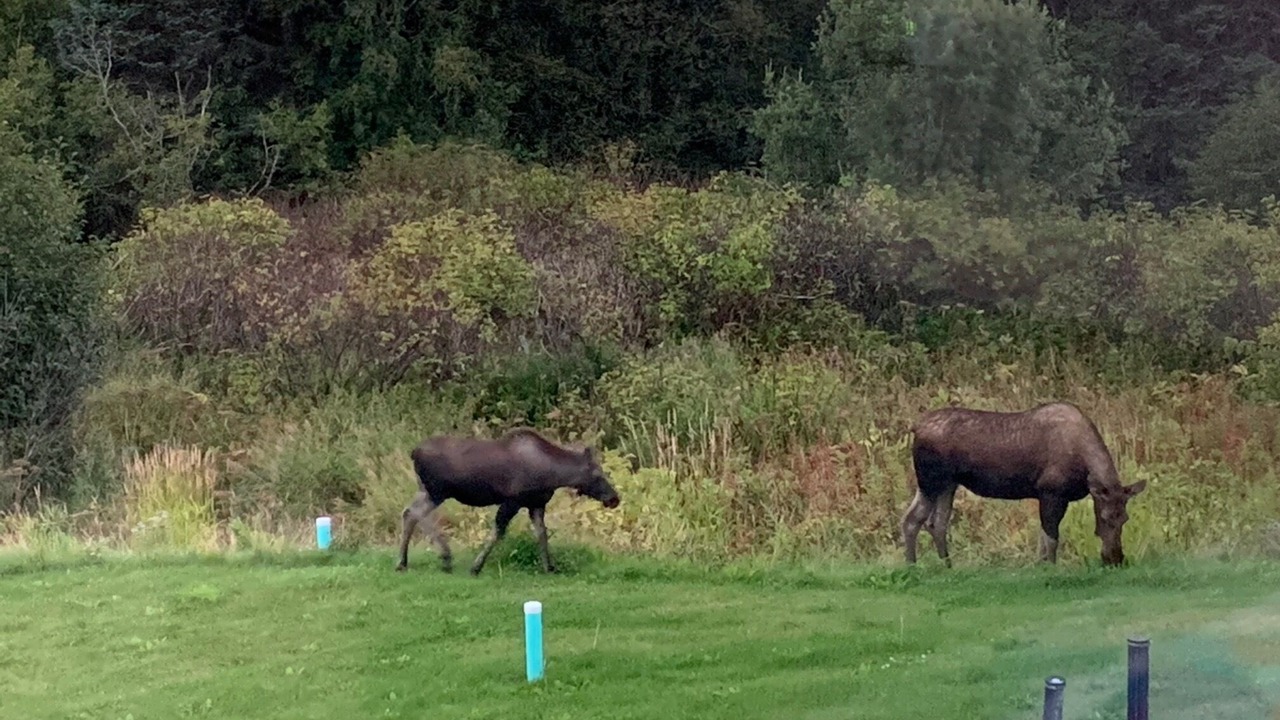 Photo of Others in Homer