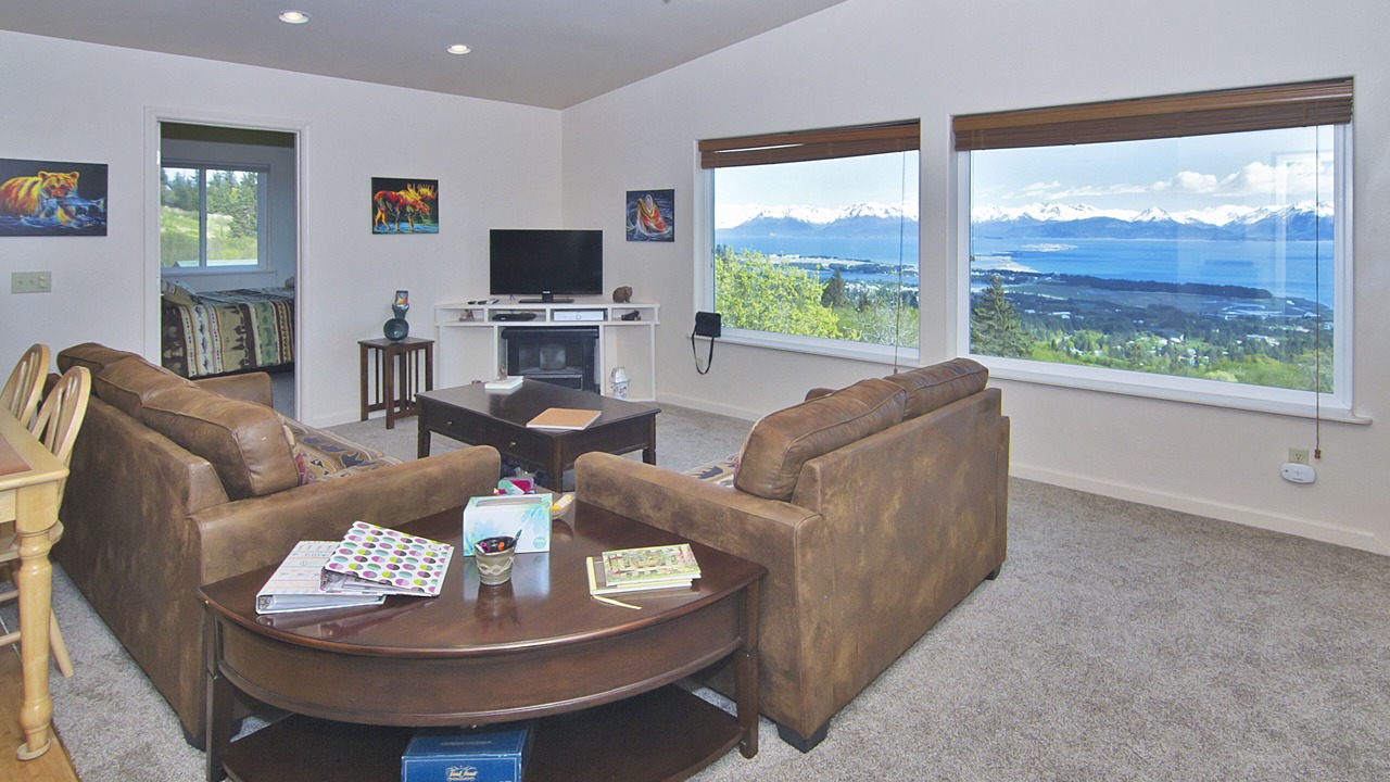 Photo of Livingroom in Homer