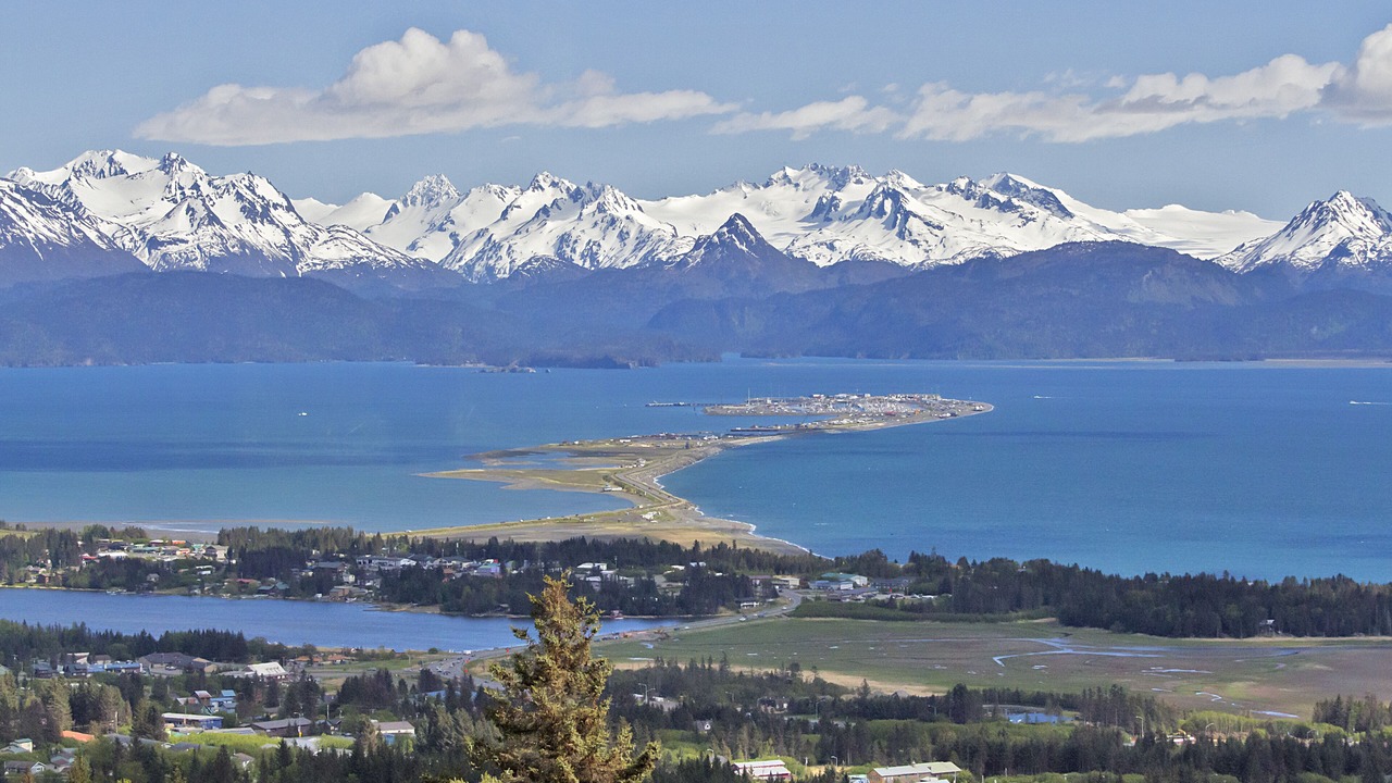 Photo of Others in Homer