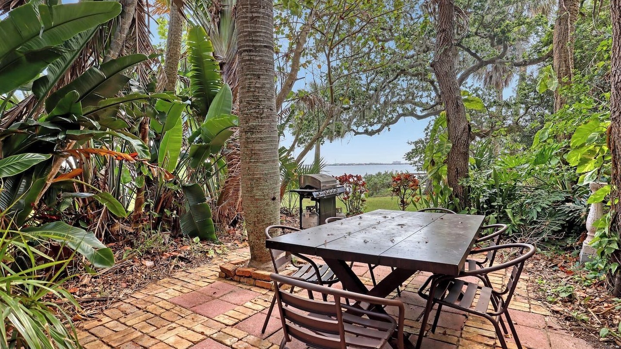 Photo of Outdoor in Tropic