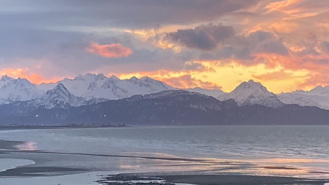 Photo of Others in Homer