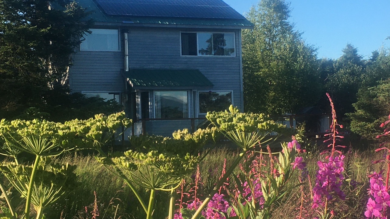 Photo of Outdoor in Homer