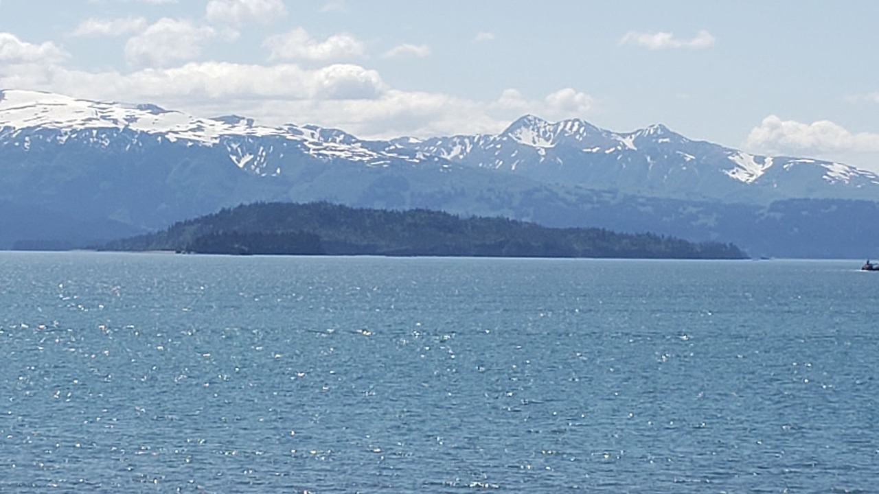 Photo of Outdoor in Homer