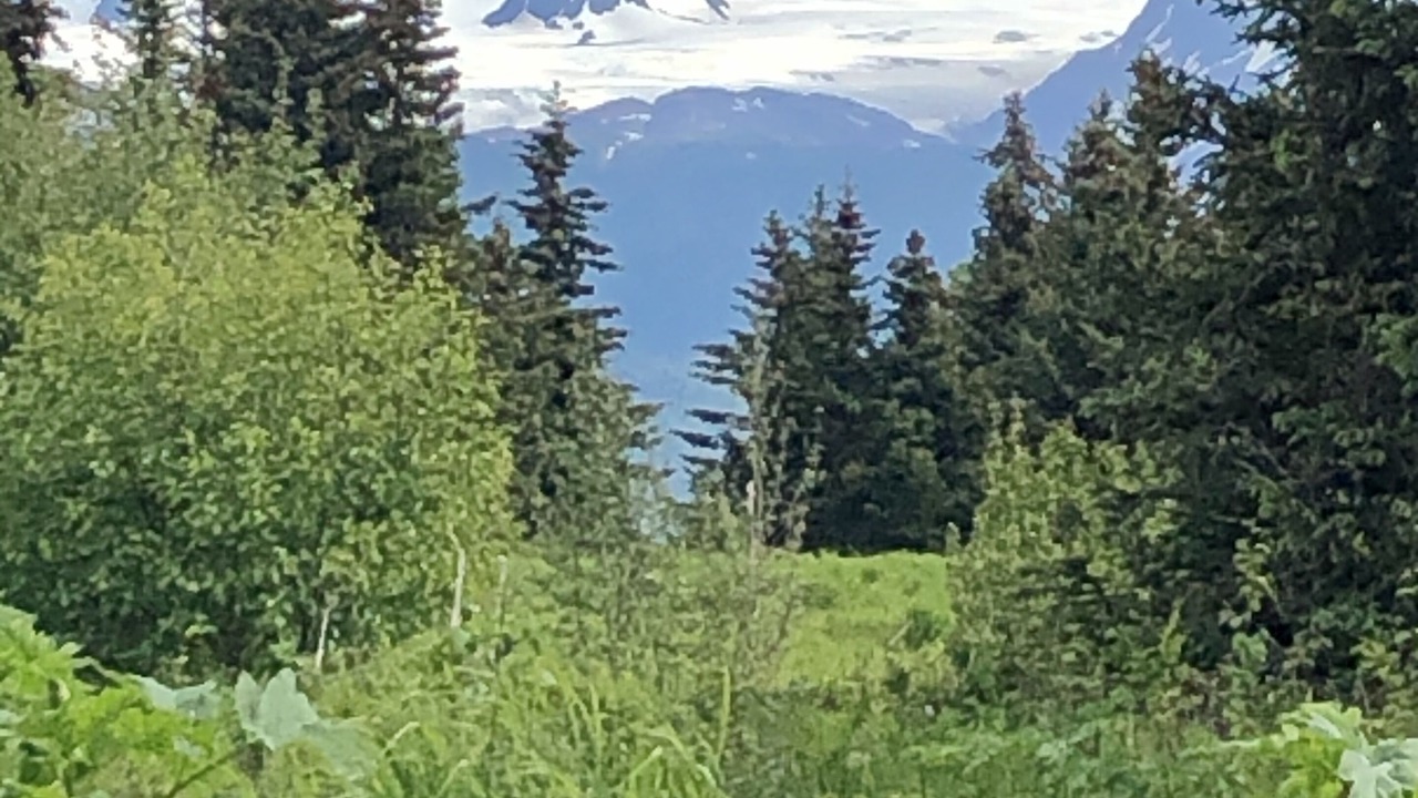 Photo of Others in Fritz Creek