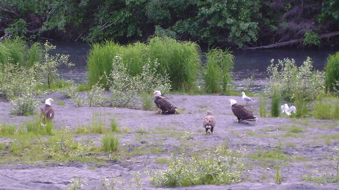 Photo of Others in Bear Creek