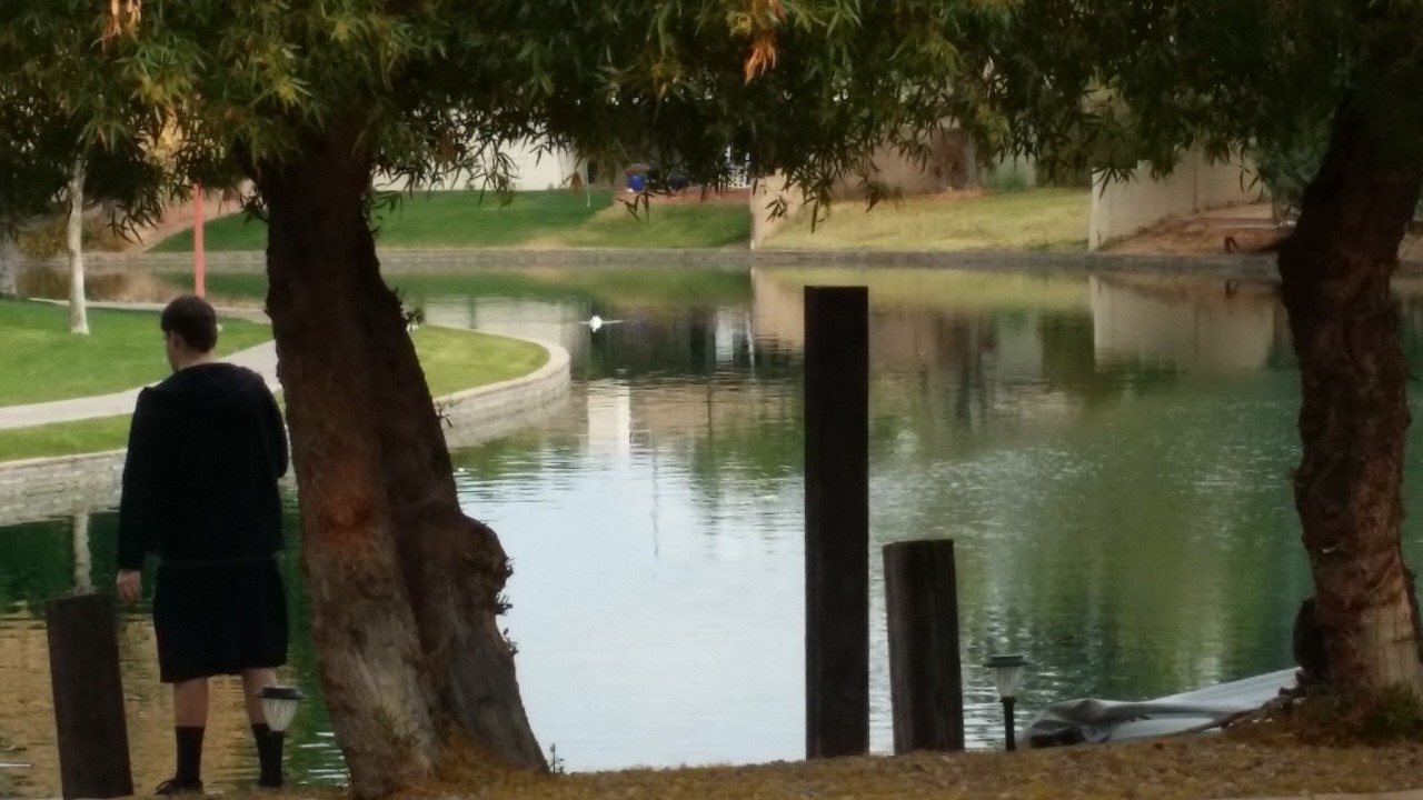 Photo of Others in Mesa