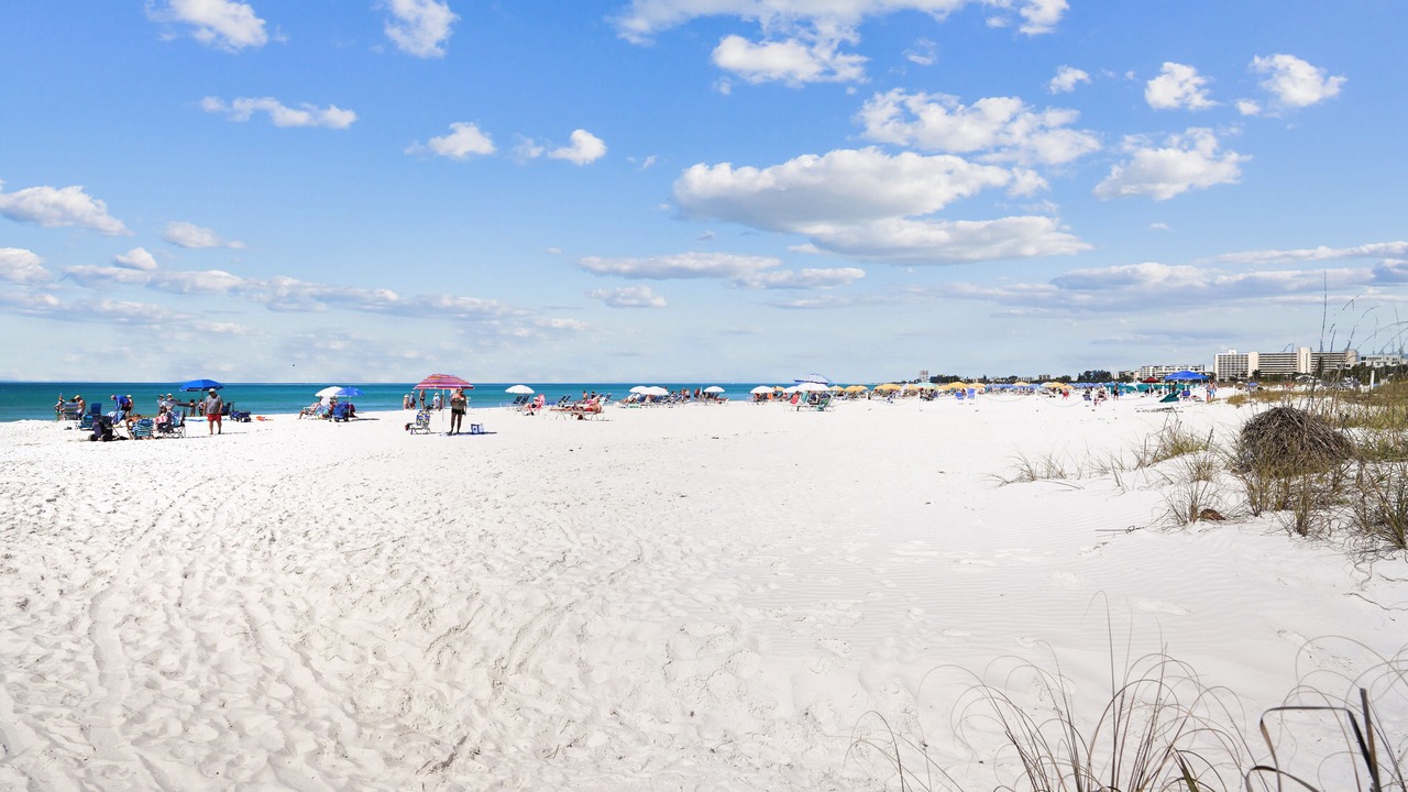 Photo of Others in Siesta Key