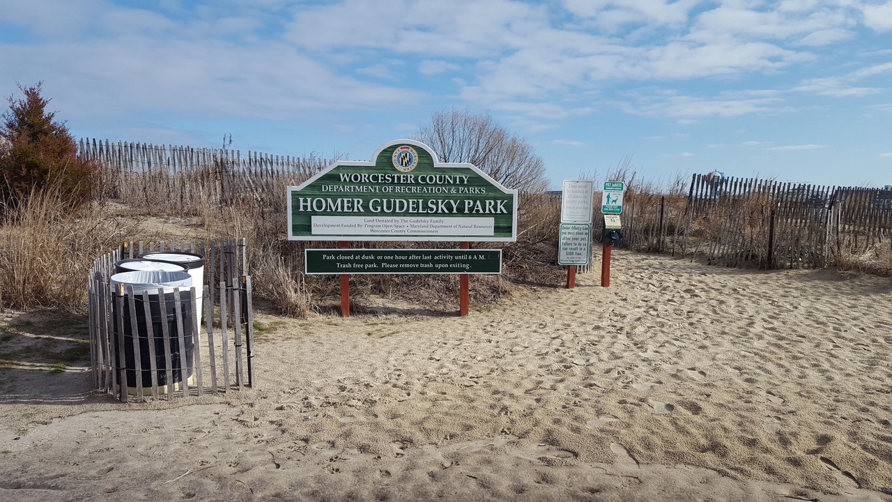 Photo of Others in West Ocean City