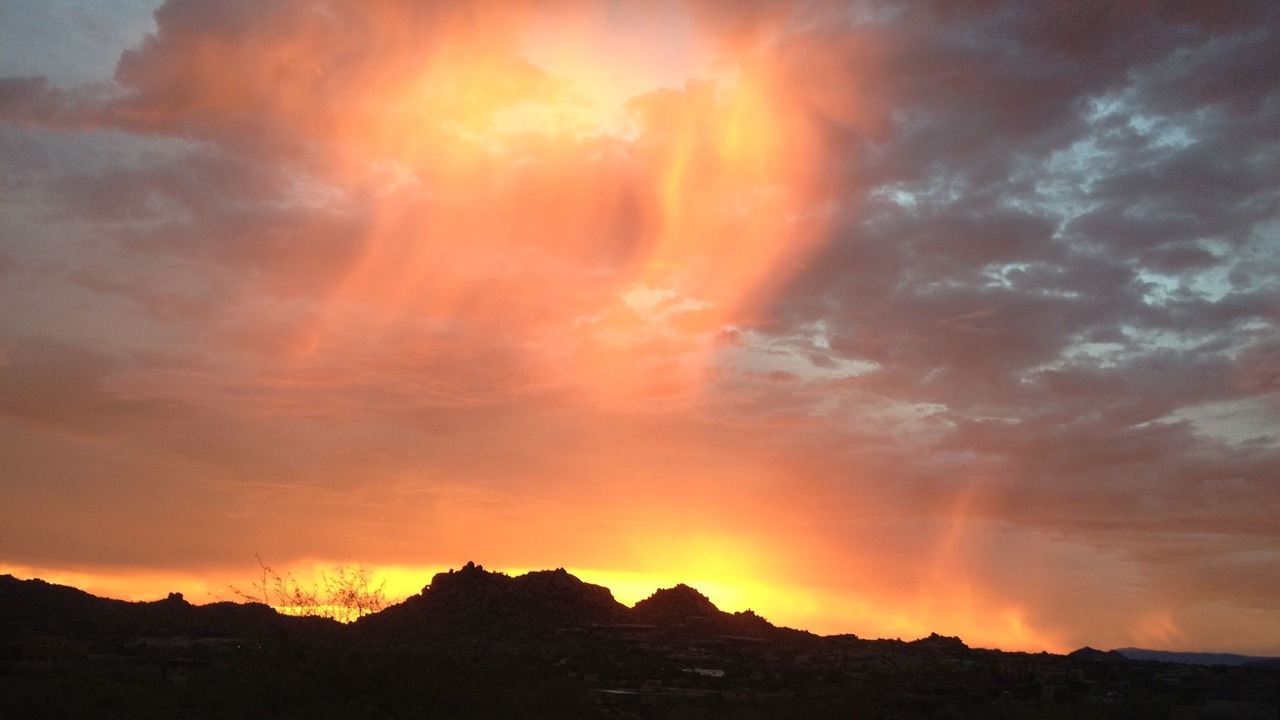Photo of Others in North Scottsdale