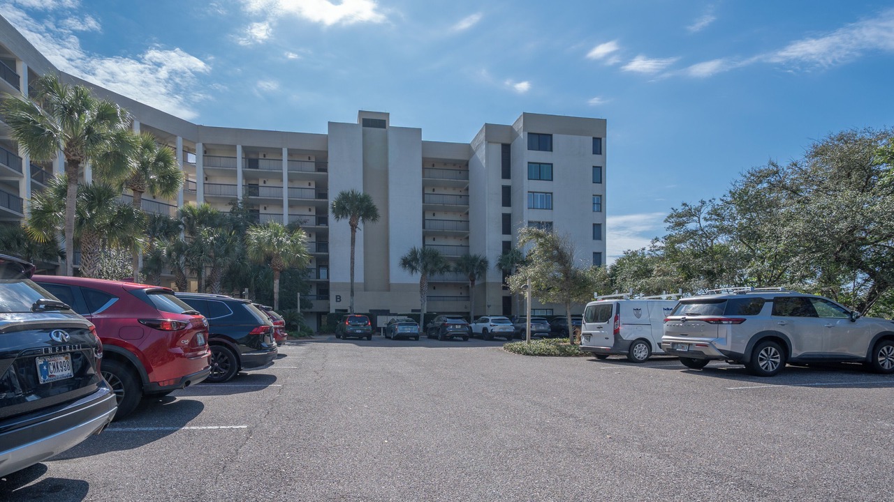Photo of Others in Amelia City
