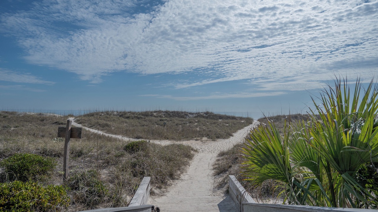 Photo of Others in Amelia City
