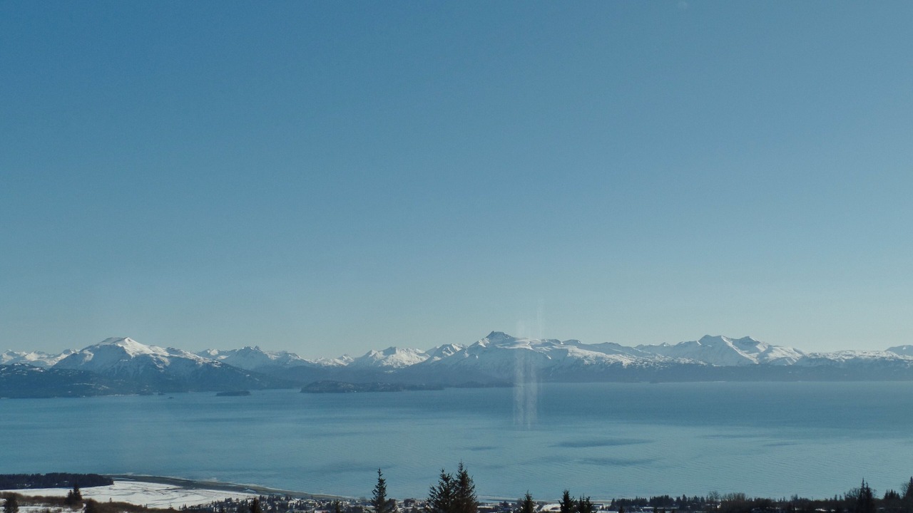 Photo of Others in Homer
