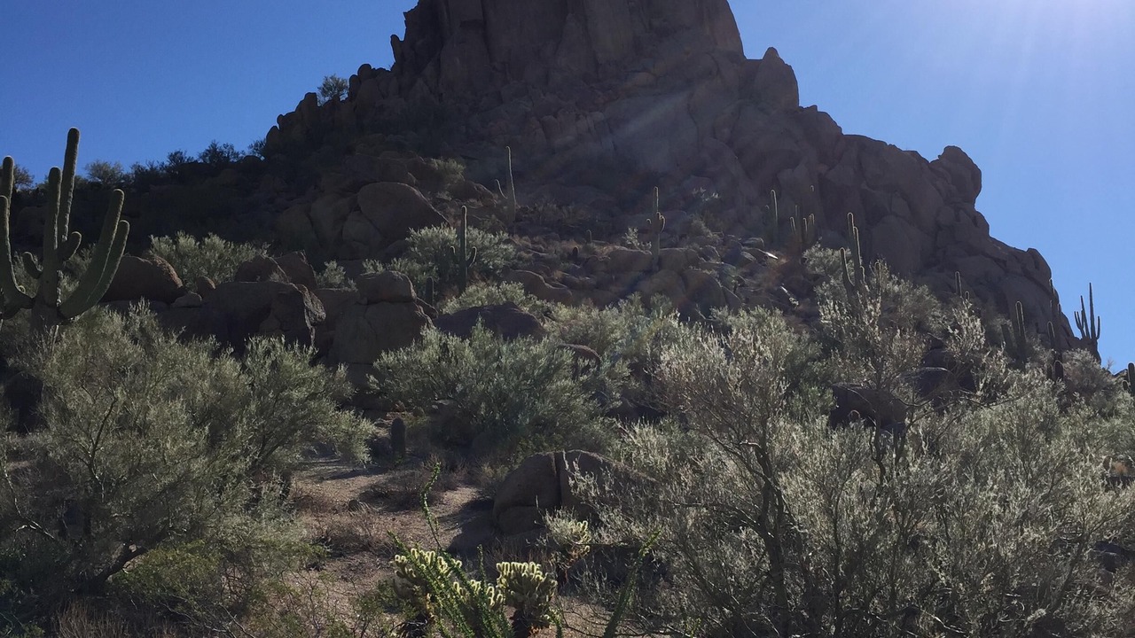 Photo of Outdoor in Paradise Valley Village