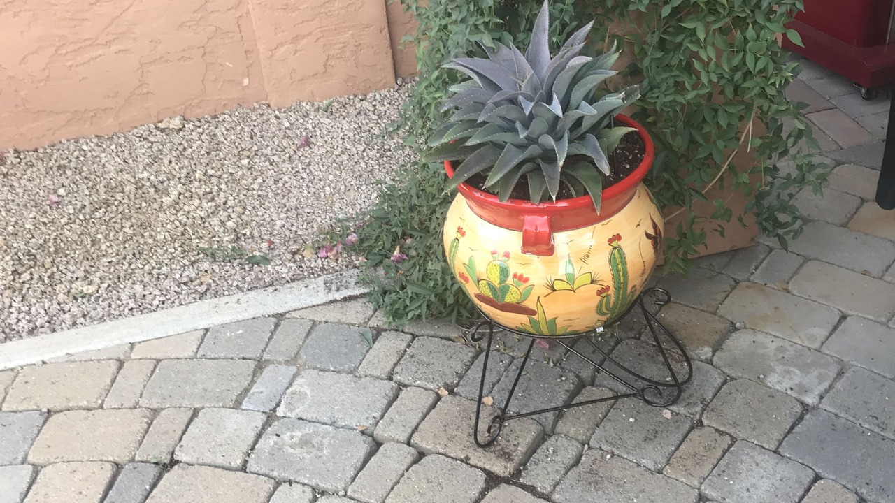 Photo of Others in Paradise Valley Village